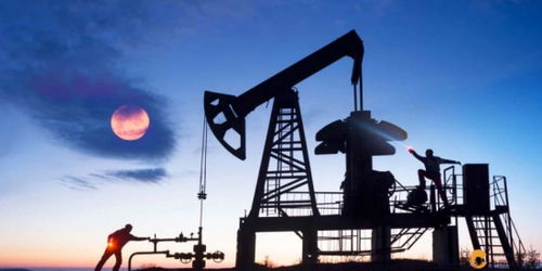 歐佩克維持產(chǎn)量不變疊加美聯(lián)儲(chǔ)風(fēng)險(xiǎn)預(yù)警，國(guó)際石油市場(chǎng)面臨復(fù)雜考驗(yàn)